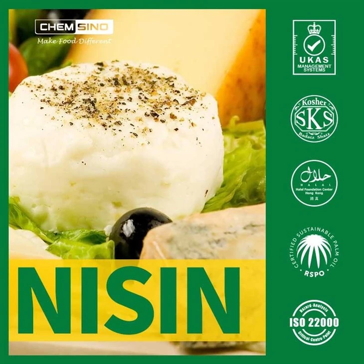 NISIN42
