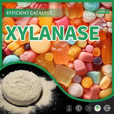 CAS 9025-57-4 کی صلاحیت کا پردہ فاش کرنا: Xylanase اپنے بہترین انداز میں!